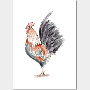 Watercolor Rooster / Rooster Art / Rooster Drawing / Farm Animal Posters and Art